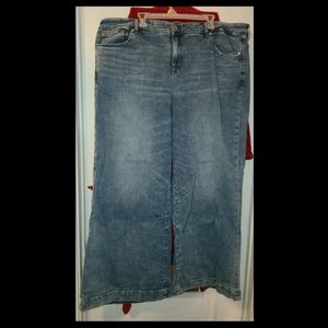Torrid Wide Leg Jeans